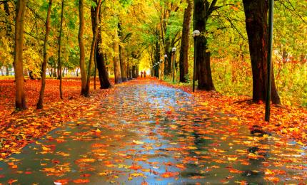 Cum va fi vremea până la mijlocul lui noiembrie. Temperaturi peste normal și ploi mai multe în prima săptămână