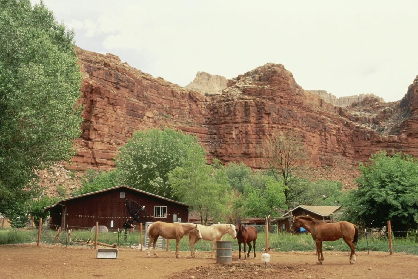 Satul Supai