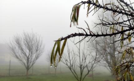 Cea mai rece dimineață de la începutul toamnei. Temperaturile au coborât până la -6 grade