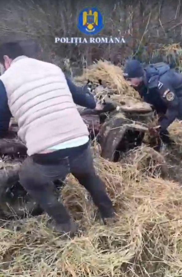 Momentul când poliţiştii din Bacău au dat peste un ATV furat într-o căpiţă de fân. Au pus mâna pe furcă