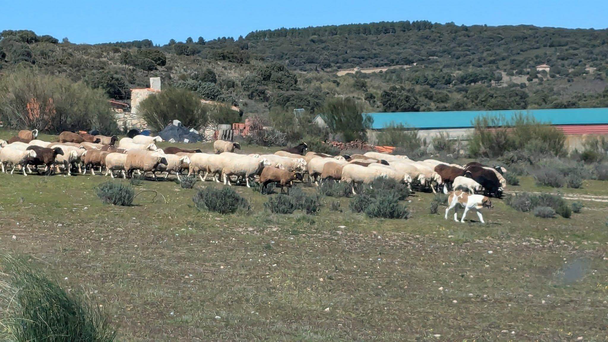 A găsit un sat abandonat pe internet și l-a cumpărat pentru 310.000 euro. Visul unui antreprenor american