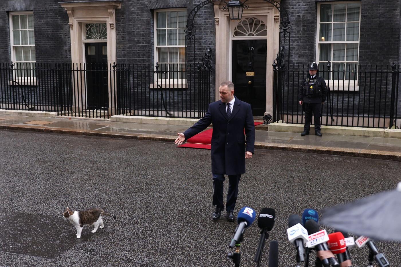 Pisica Larry împlineşte 15 ani ca principală spaimă a rozătoarelor din Downing Street