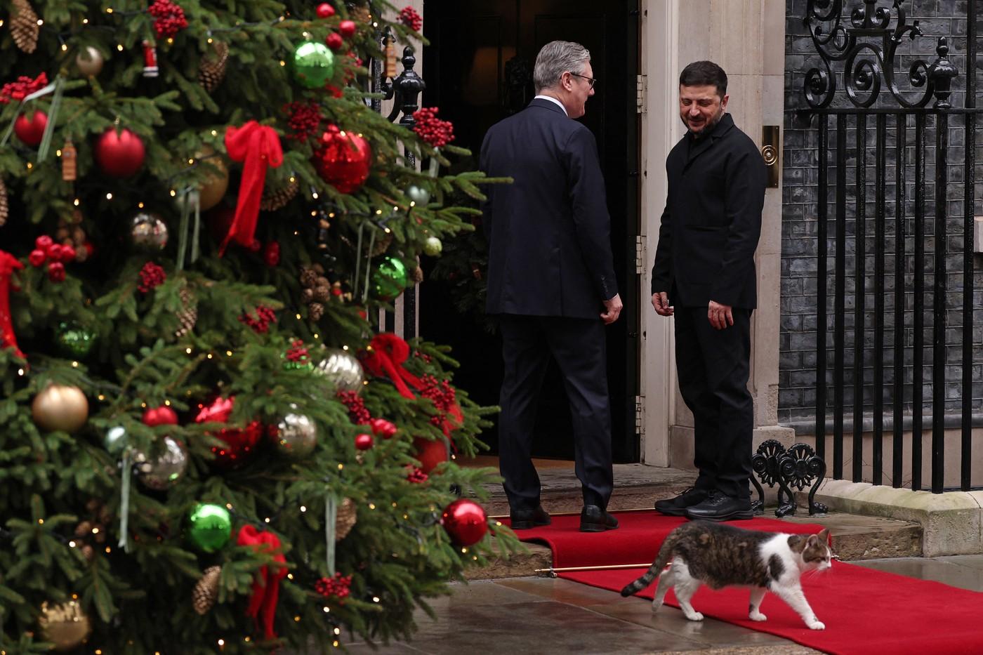 Pisica Larry împlineşte 15 ani ca principală spaimă a rozătoarelor din Downing Street