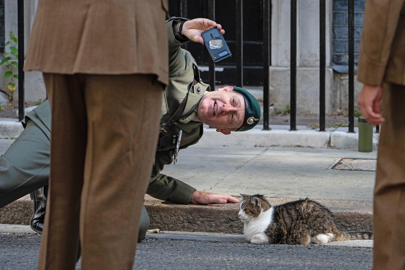 Pisica Larry împlineşte 15 ani ca principală spaimă a rozătoarelor din Downing Street