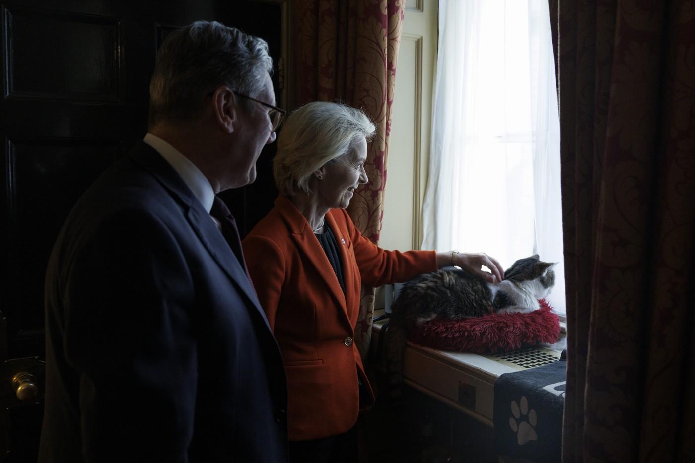 Pisica Larry împlineşte 15 ani ca principală spaimă a rozătoarelor din Downing Street