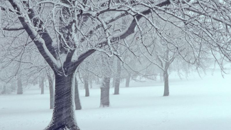 ANM anunţă un nou val de ninsori şi viscol. Care sunt zonele vizate