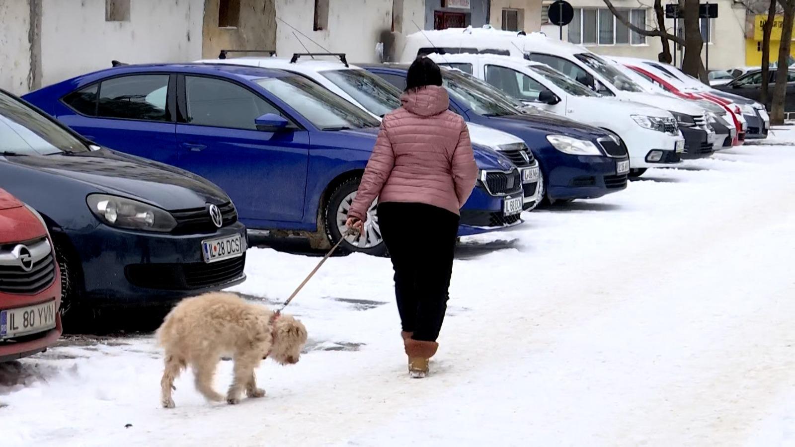 Femeie care a dispărut înainte de Crăciun, găsită moartă la marginea oraşului Slobozia