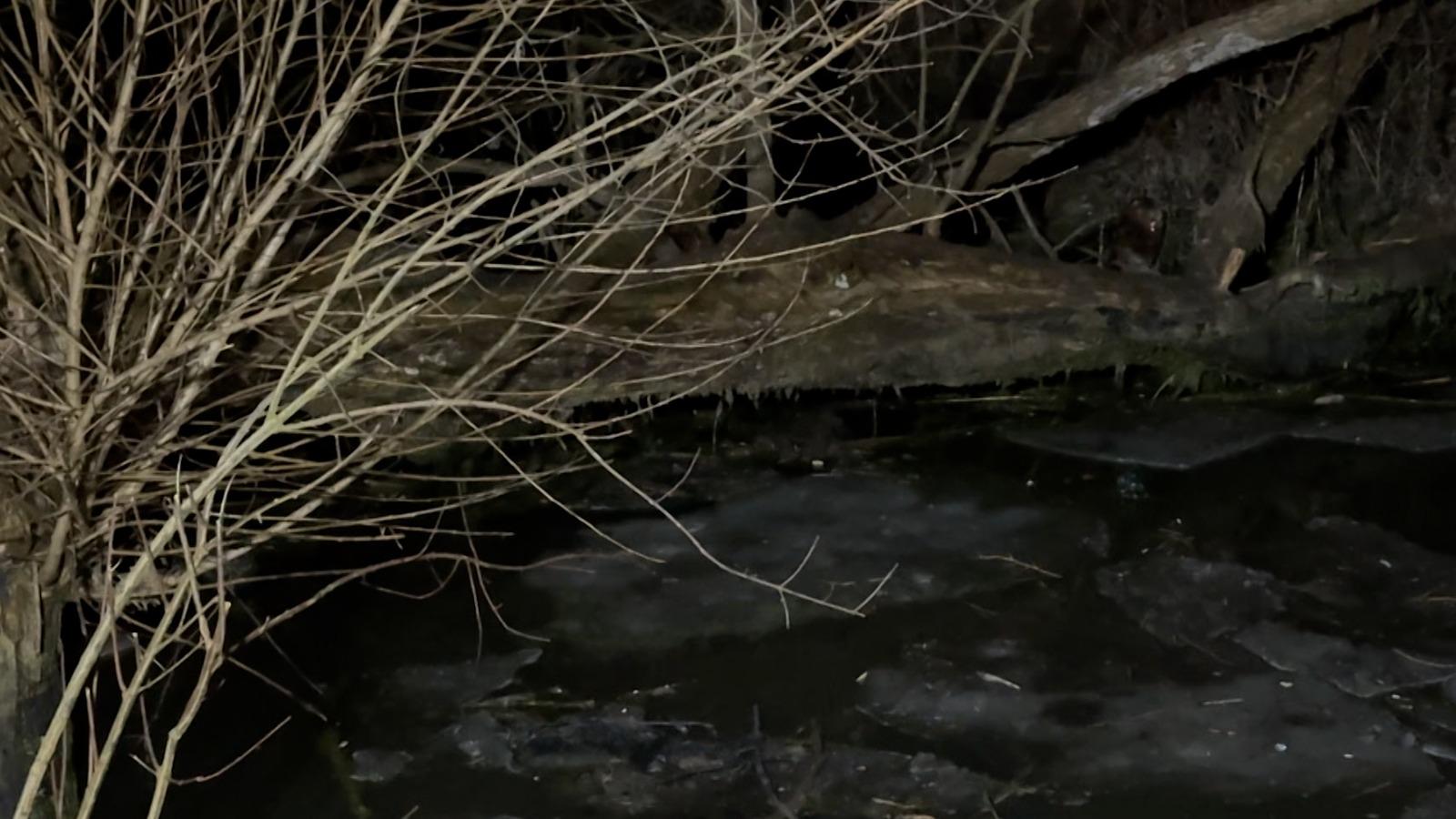 "Nu mergem, mami, să nu cădem în apă". Cei doi frați din Sibiu au murit chiar în locul de care se temeau