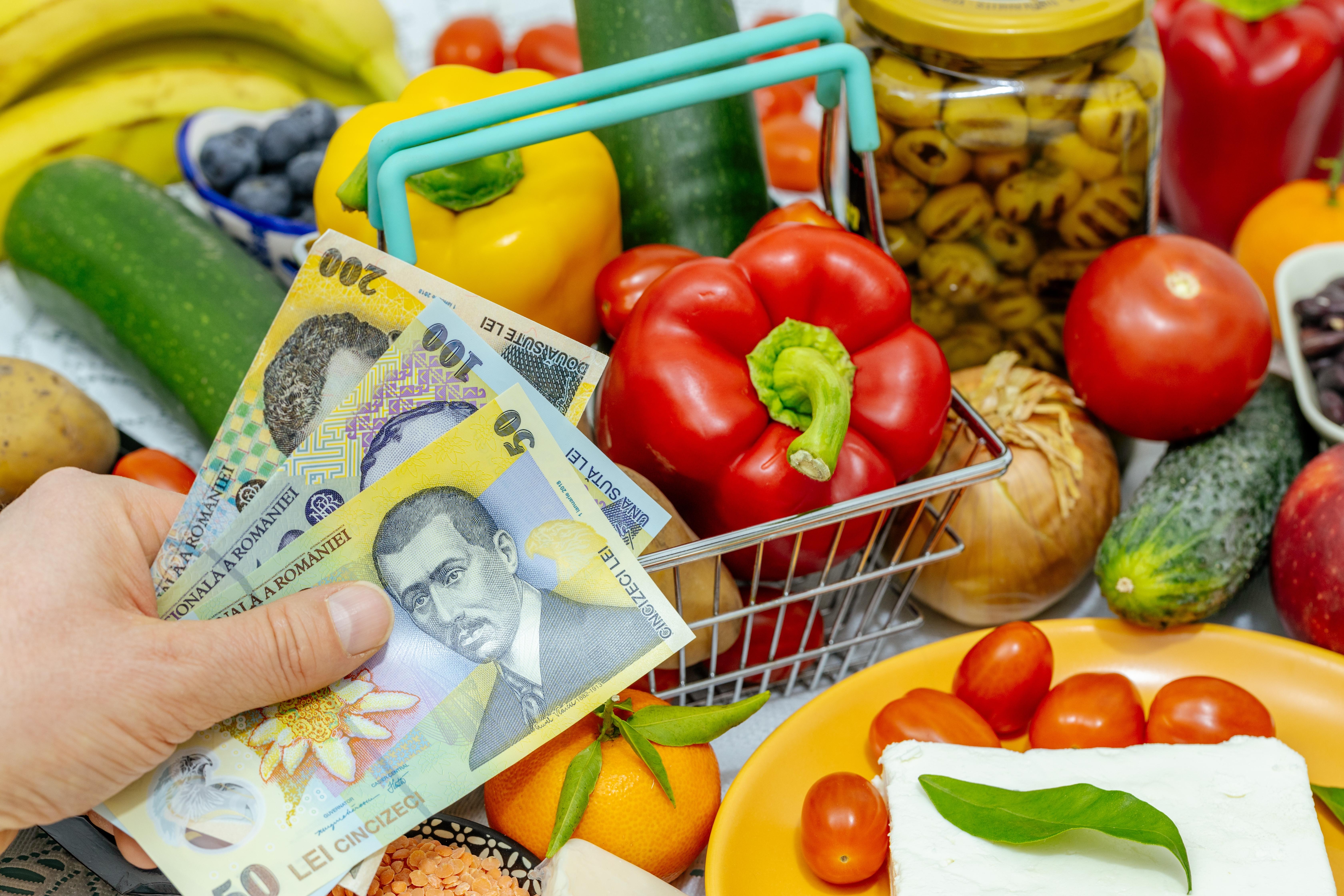 Surse: Legea bugetului, adoptată azi în şedinţa de guvern