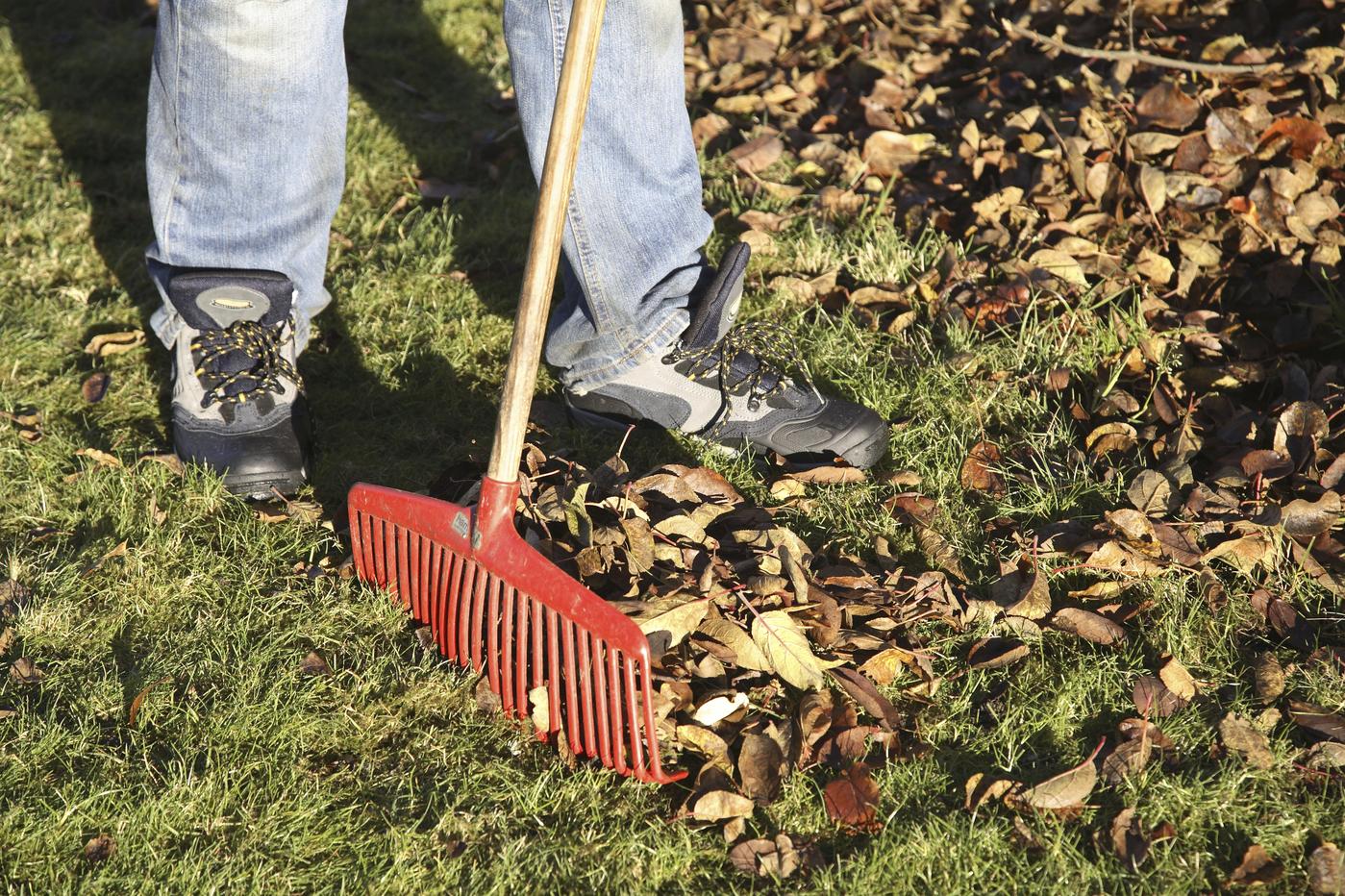 Îşi făcea curăţenie în curte, când un bărbat din Harghita a făcut o descoperire neaşteptată. A sunat la 112