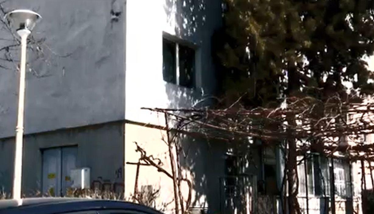 Mai tari ca orice sistem de supraveghere. Cum au reuşit mai multe pisici să pună 5 hoţi pe fugă la Constanţa