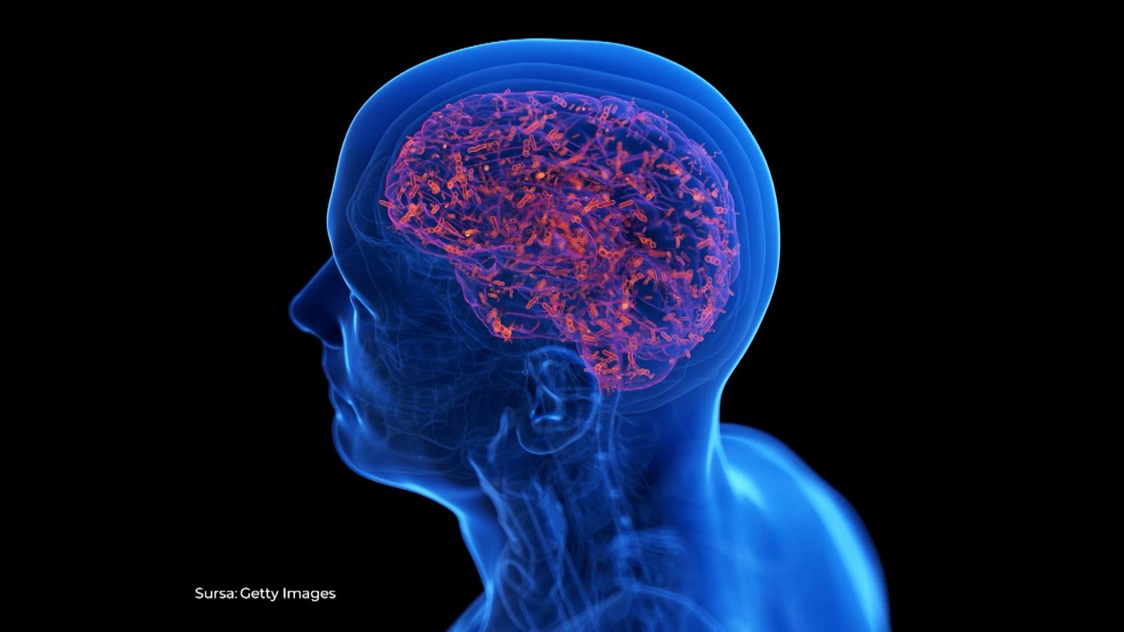 Experții avertizează: focarul de meningită din Marea Britanie ar putea fi o tulpină agresivă