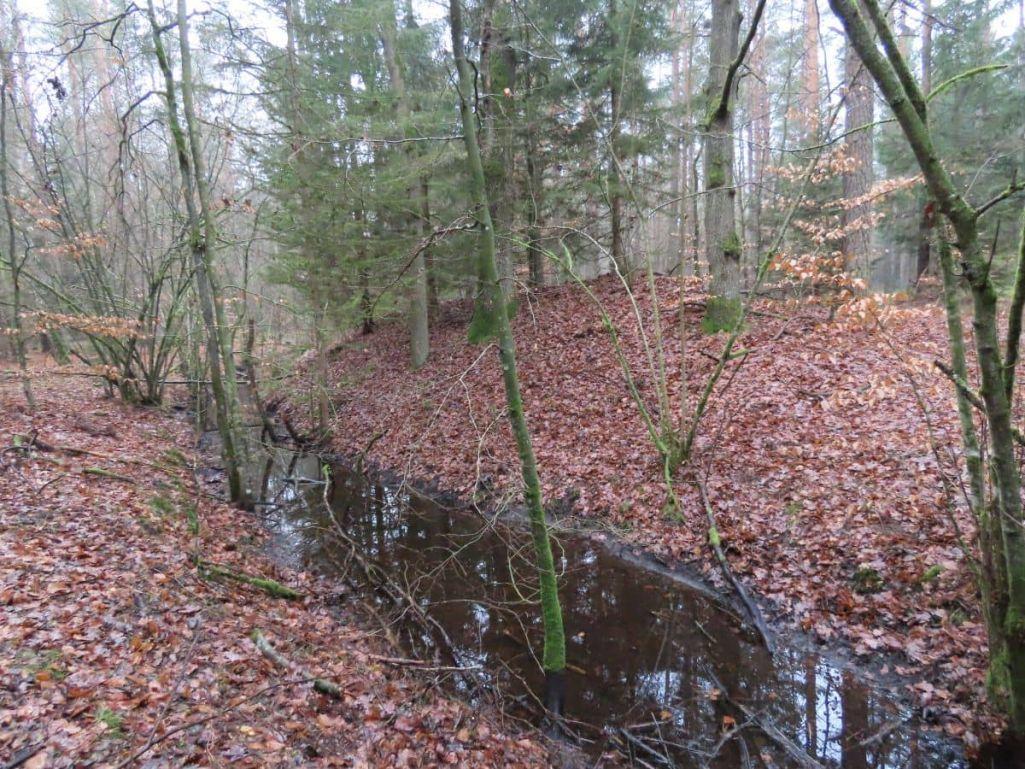 Oraș medieval pierdut, redescoperit într-o pădure: monede, unelte și arme de acum 1.000 de ani