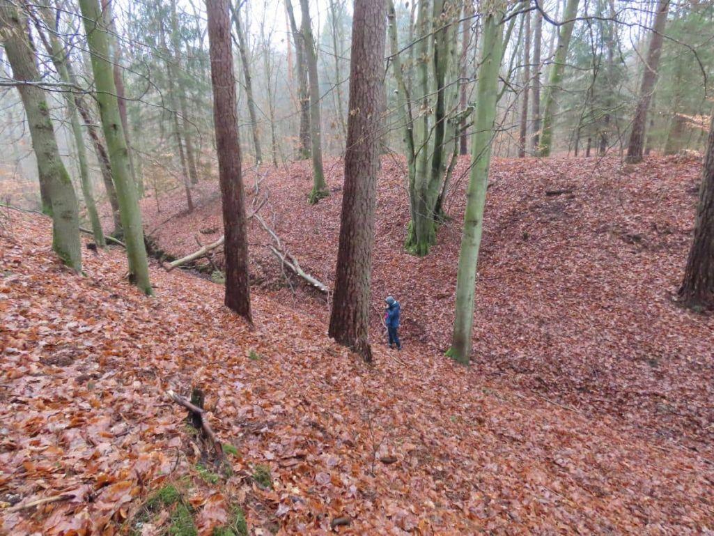 Oraș medieval pierdut, redescoperit într-o pădure: monede, unelte și arme de acum 1.000 de ani