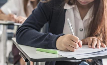 Perle la simularea pentru Evaluarea Naţională 2026, la Limba Română: "Personajul avea un cap de păsărică"