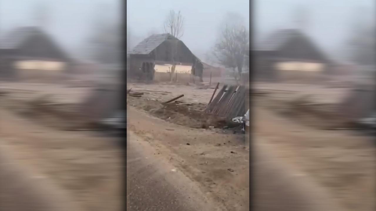 Un șofer de 23 de ani s-a urcat băut la volan și a plonjat cu mașina direct într-o casă