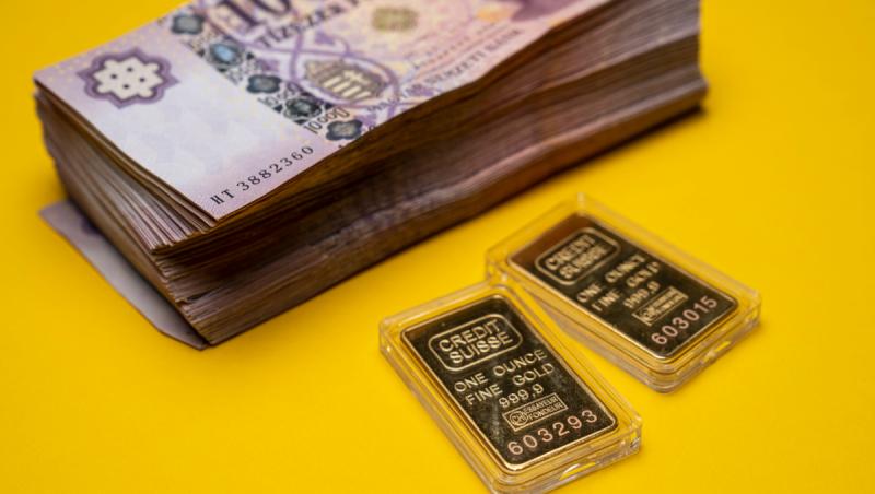 Ungaria, acuzată că a forțat un ucrainean cu injecție în timpul percheziției unui transport de aur și bani