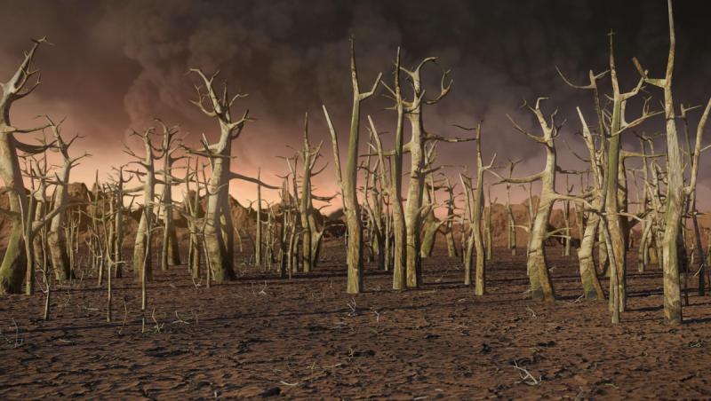 ONU: Clima Pământului este în stare de urgență. Fiecare indicator climatic cheie clipește în roșu