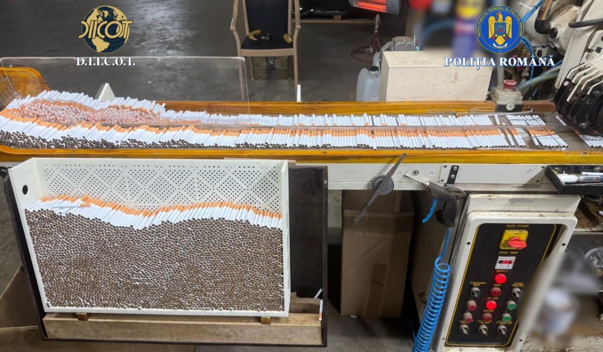 Fabrică ilegala de tigari lângă Timişoara. Poliţiştii au confiscat tone de tutun şi sute de cartuşe