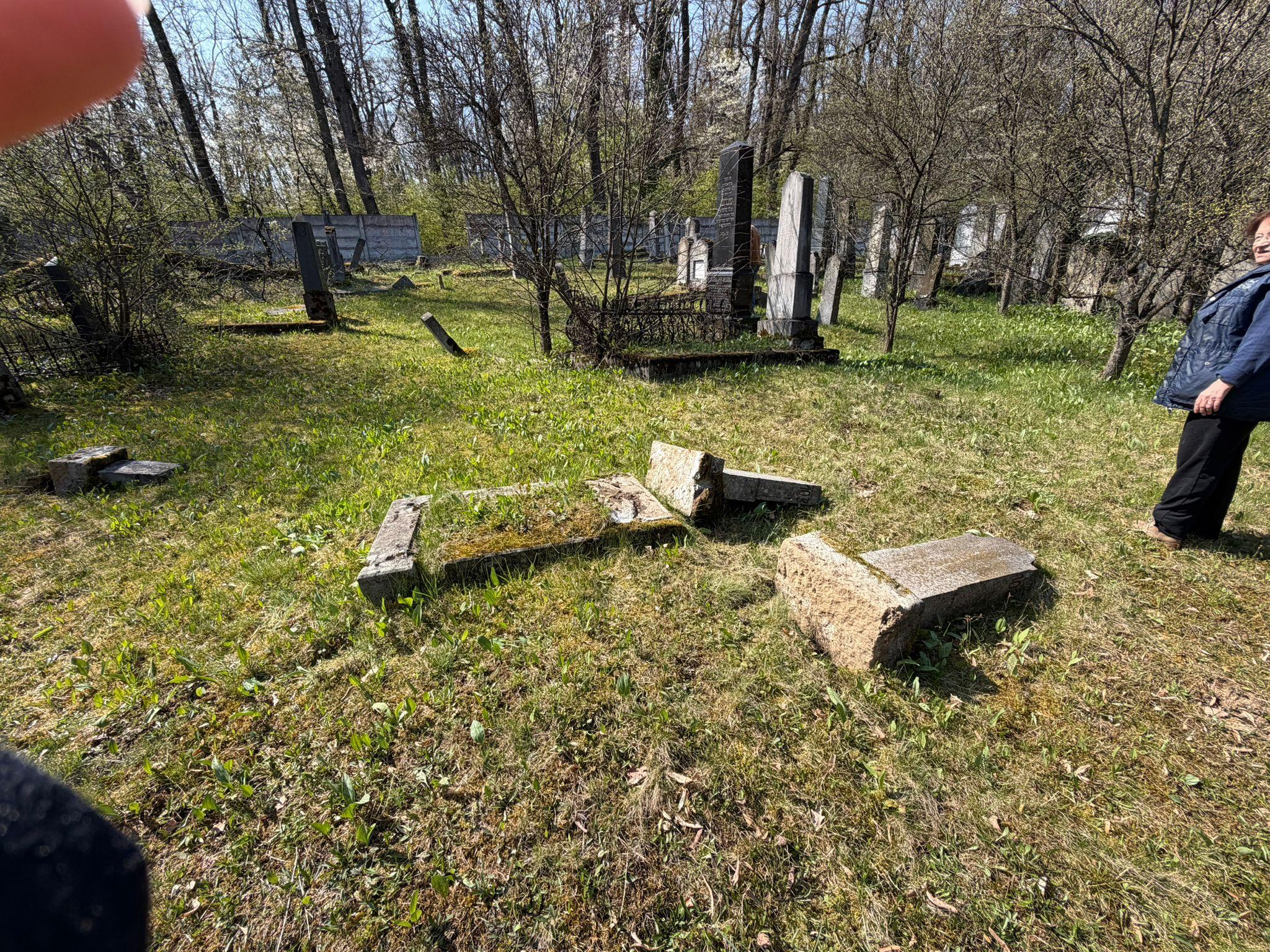 Monumente funerare răsturnate în cimitirul evreiesc din Reghin