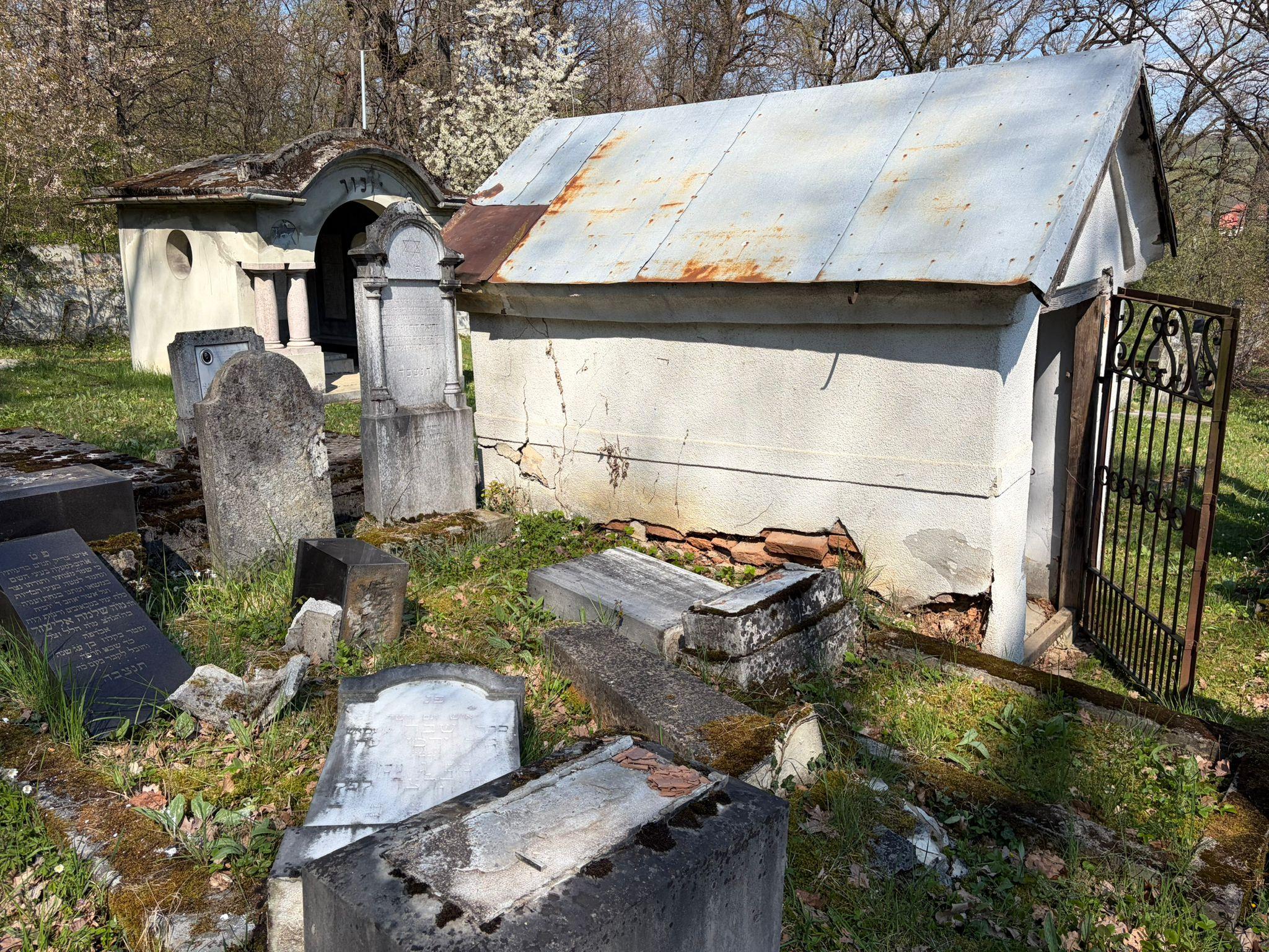 Monumente funerare răsturnate în cimitirul evreiesc din Reghin