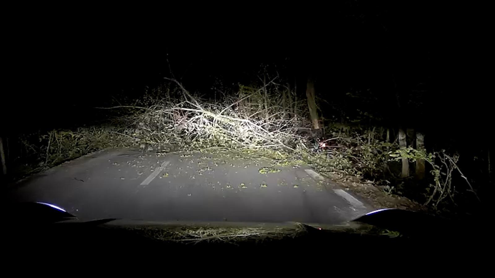 "Nu pot să cred, au ieşit de pe drum. Mi-e rău". Momentul când Mihai şi David sunt găsiţi de prietenii lor