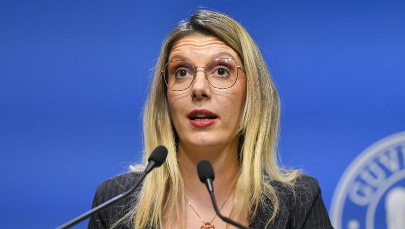 Ministerul Mediului câștigă în primă instanță procesul cu Romsilva privind drumul prin pădurea Băneasa