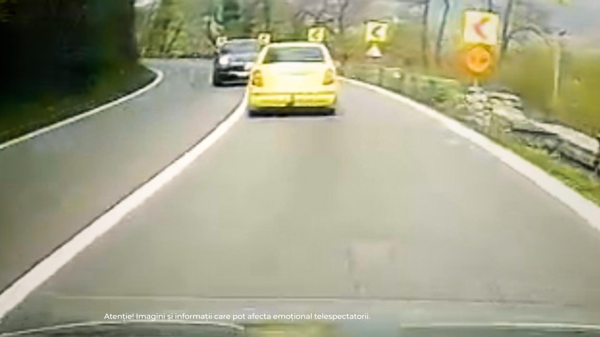 ANIMAŢIE. Gravidă, ucisă de un şofer care a intrat pe contrasens, pe Valea Oltului. Un băieţel a rămas orfan