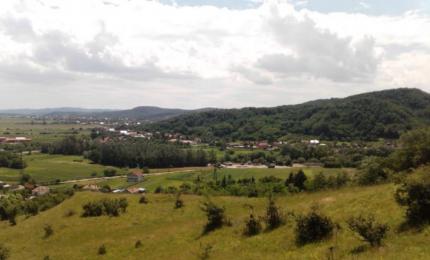 Se fac angajări într-o comună din Vâlcea. Un mare lanț de magazine caută vânzători