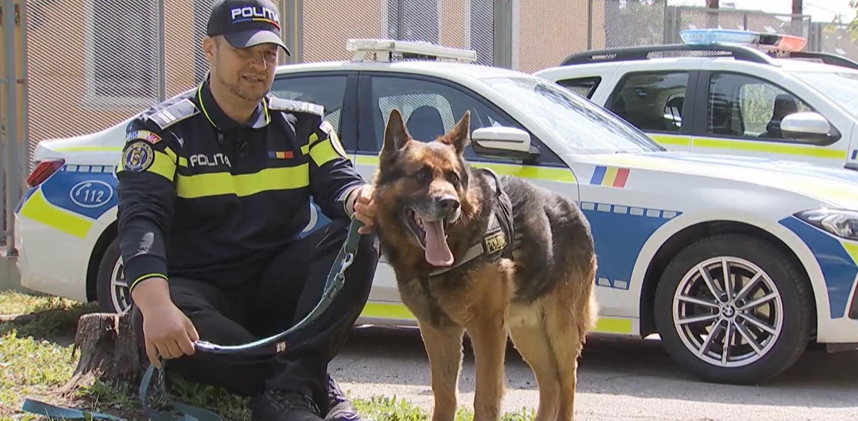 Dak şi Bliţ, câţeii eroi ai Poliţiei şi Jandarmeriei din România. Poveştile spuse de cei care i-au antrenat