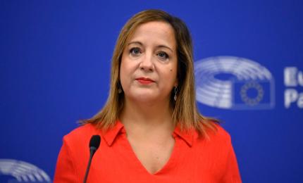 Lidera social-democraților europeni: Nu există o înțelegere între PSD şi extrema dreaptă pentru un nou Guvern