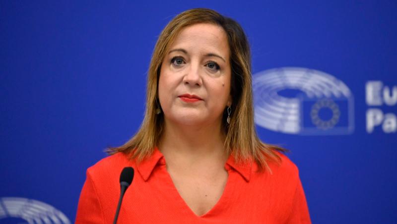 Lidera social-democraților europeni: Nu există o înțelegere între PSD şi extrema dreaptă pentru un nou Guvern