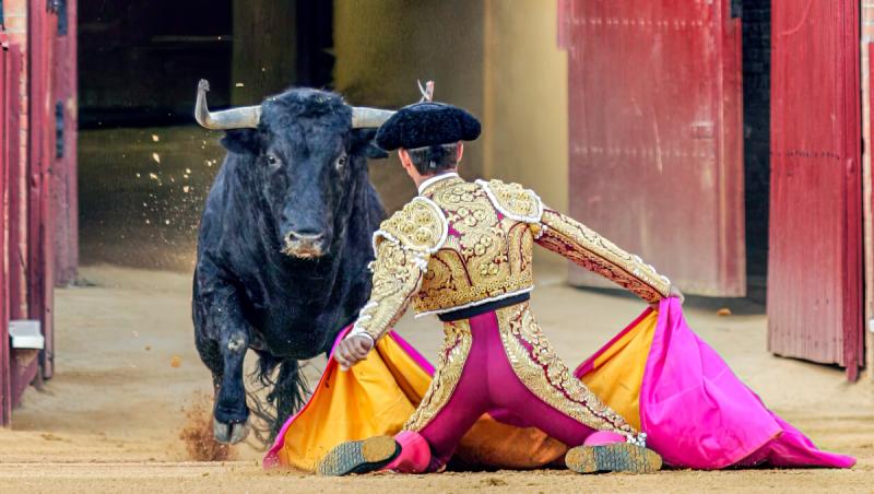 Scenă de coridă, între un taur ţi un matador