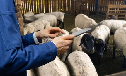 Salariul e aproape 2.400 €, dar nimeni nu vrea această meserie. Angajatorii sunt disperați