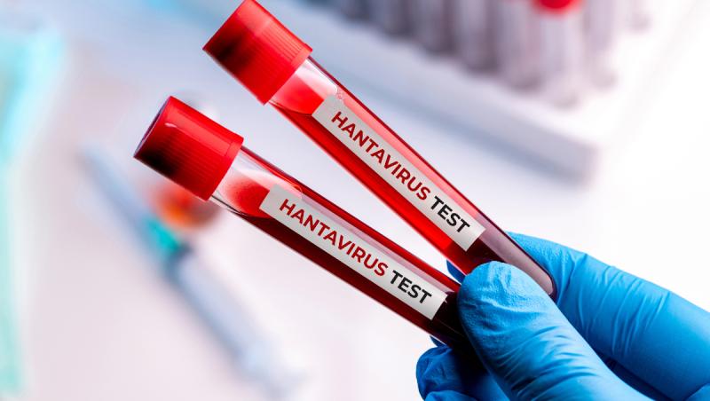 Lista țărilor care au confirmat cazuri de hantavirus după focarul de pe nava MV Hondius