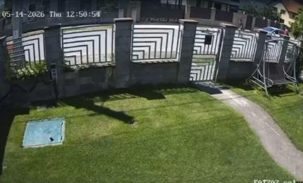 Băiatul de 14 ani din Timiş care a căzut cu trotineta este în moarte cerebrală. Mătuşa cere interzicerea lor