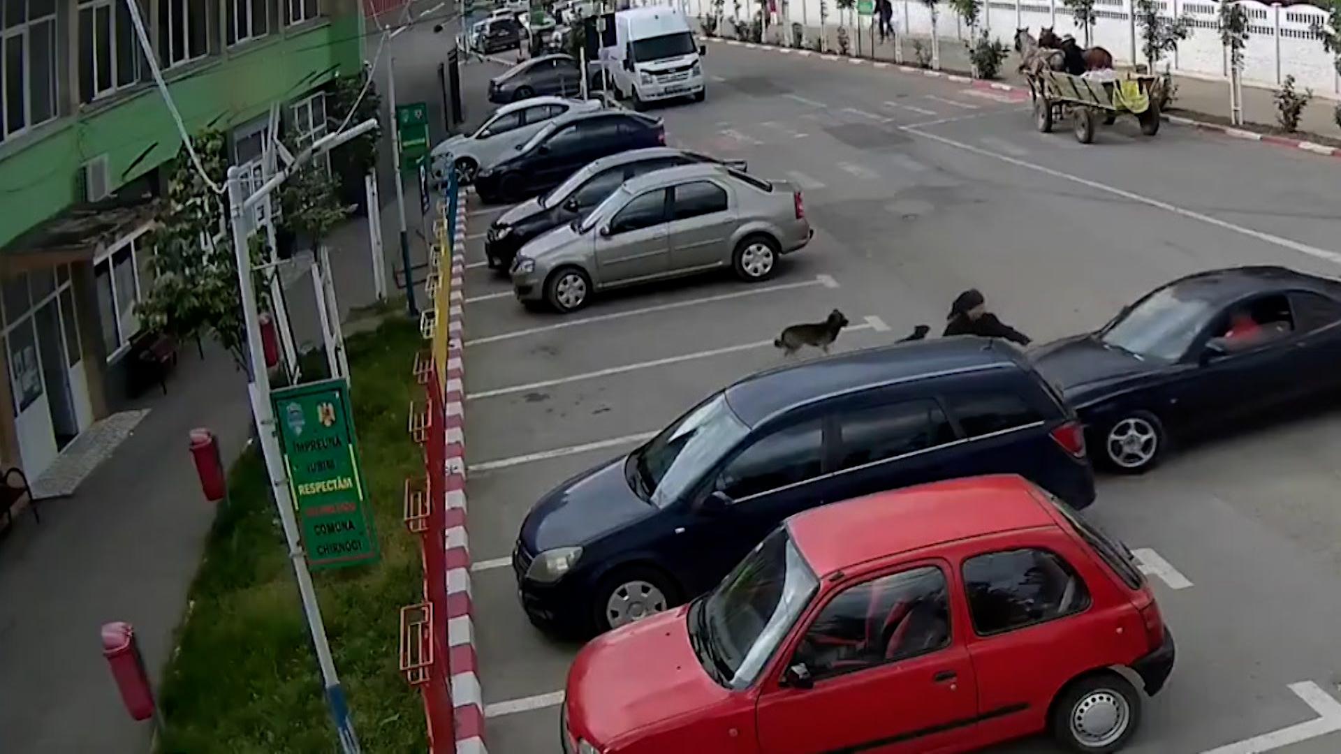 EXCLUSIV. Femeie, spulberată cu maşina de "Mişu Sicilianu". După accident a făcut un gest inconştient