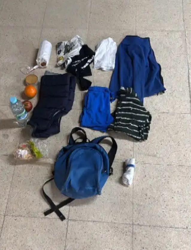 Povestea emoționantă a celor 2 frați legați la ochi și abandonați la 2.000 km distanță de casă, în Portugalia