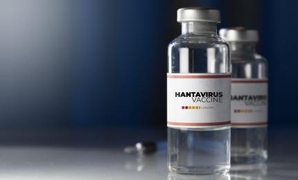 UE trimite primele doze de antiviral experimental împotriva hantavirusului în trei ţări europene