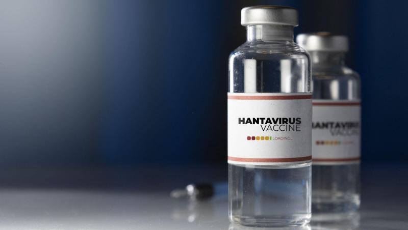 UE trimite primele doze de antiviral experimental împotriva hantavirusului în trei ţări europene