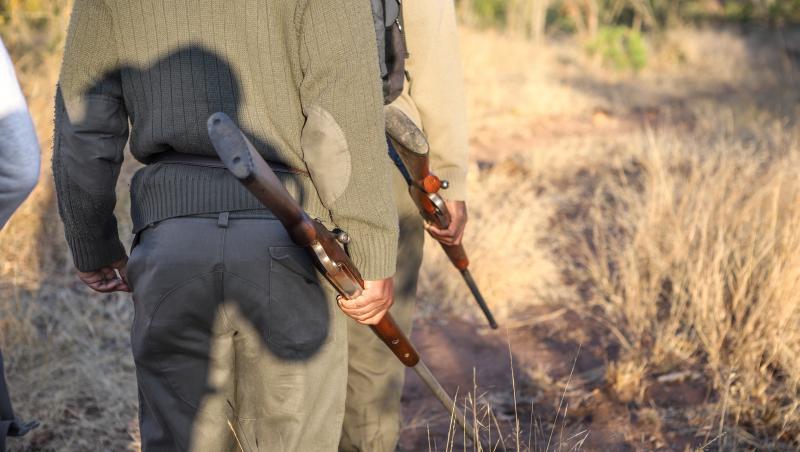Percheziții la presupuşi braconieri în Arad: arme cu termoviziune, amortizor și carne de vânat, descoperite
