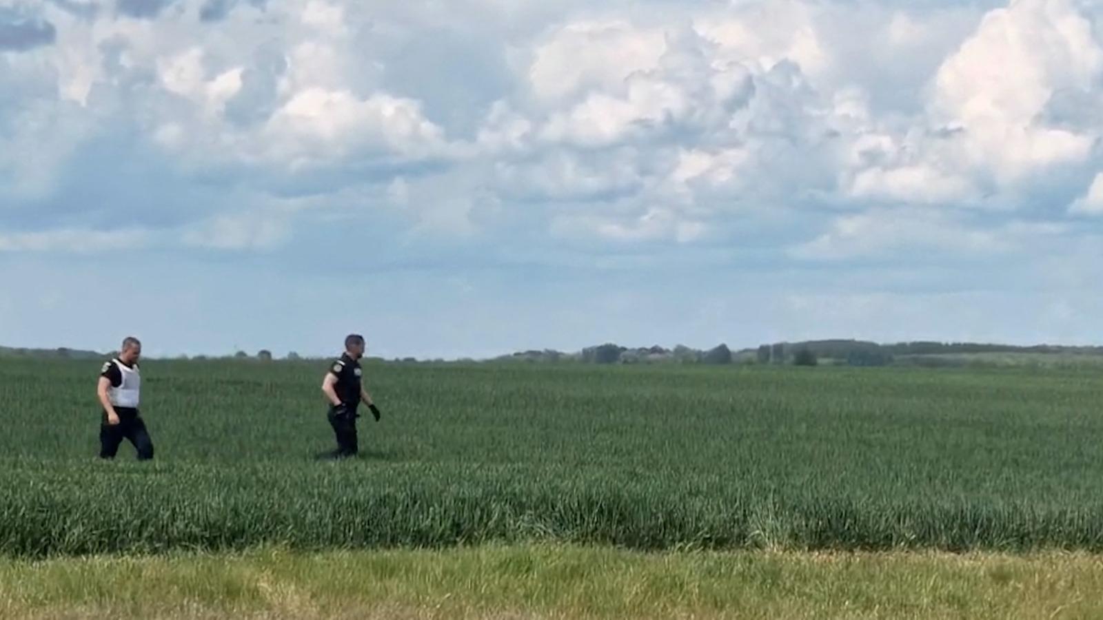 Elevă de 18 ani, ucisă la ferma la care făcea practică în Bihor. Fata, găsită pe un câmp