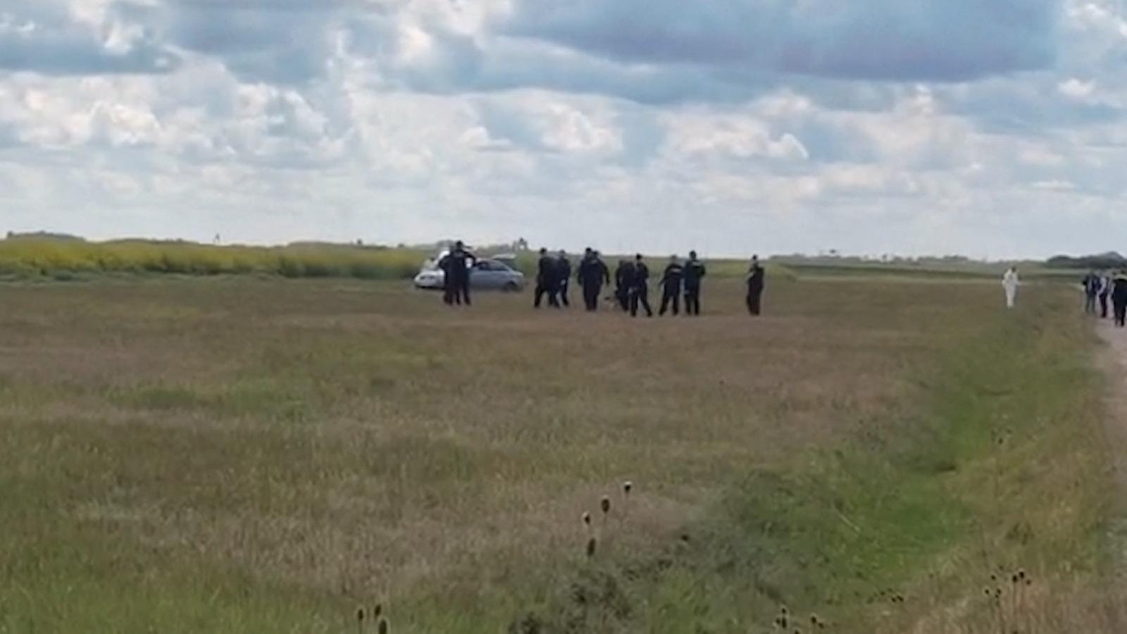 Elevă de 18 ani, ucisă la ferma la care făcea practică în Bihor. Fata, găsită pe un câmp