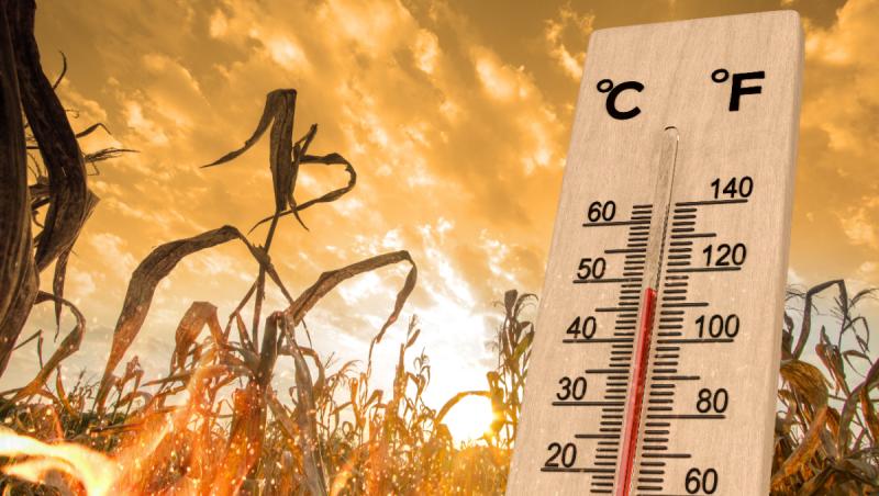 Vreme la extreme în România: Val de caniculă şi furtuni în aproape jumătate din ţară. Arşiţă, până miercuri