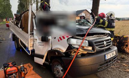 Un bărbat a murit în mașina lovită în mers de un copac doborât de furtună, în Ilfov