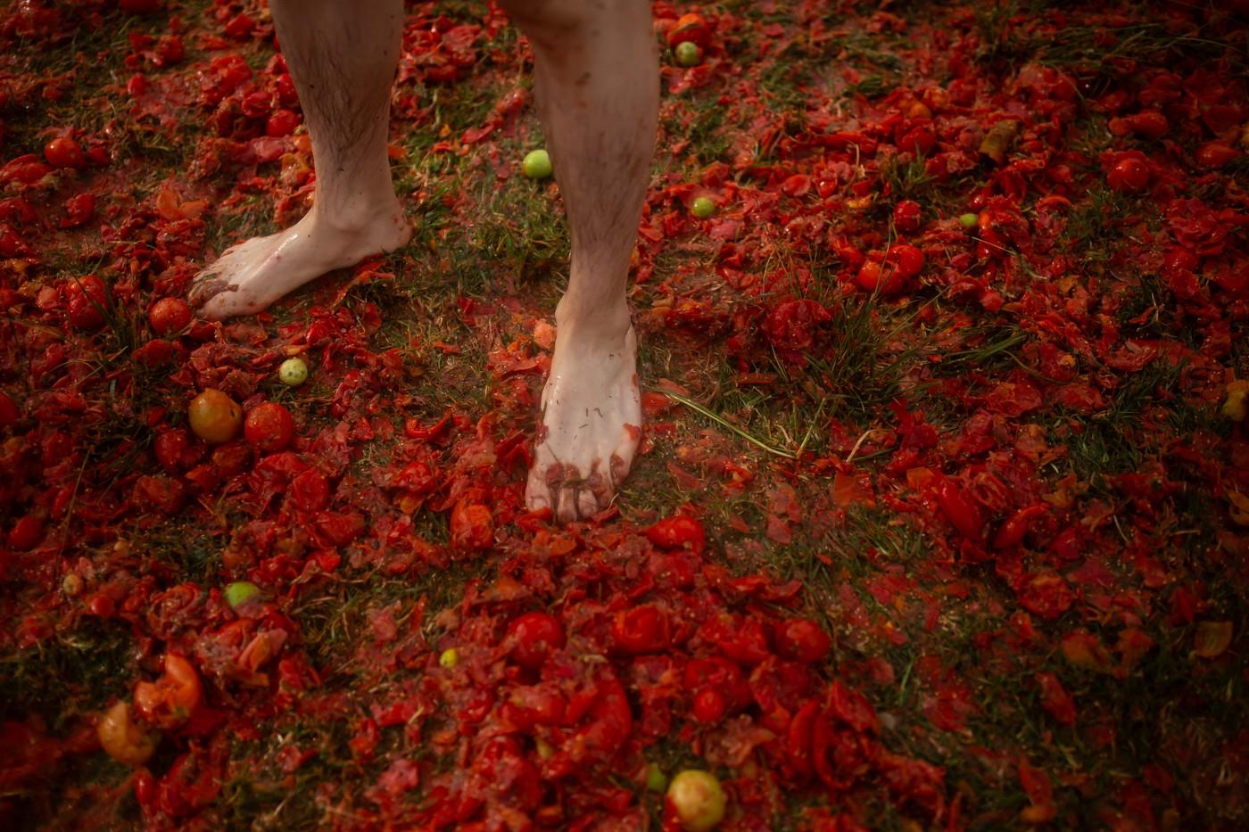 La Tomatina 2026. Cum a arătat cea mai mare bătaie cu roşii din Columbia