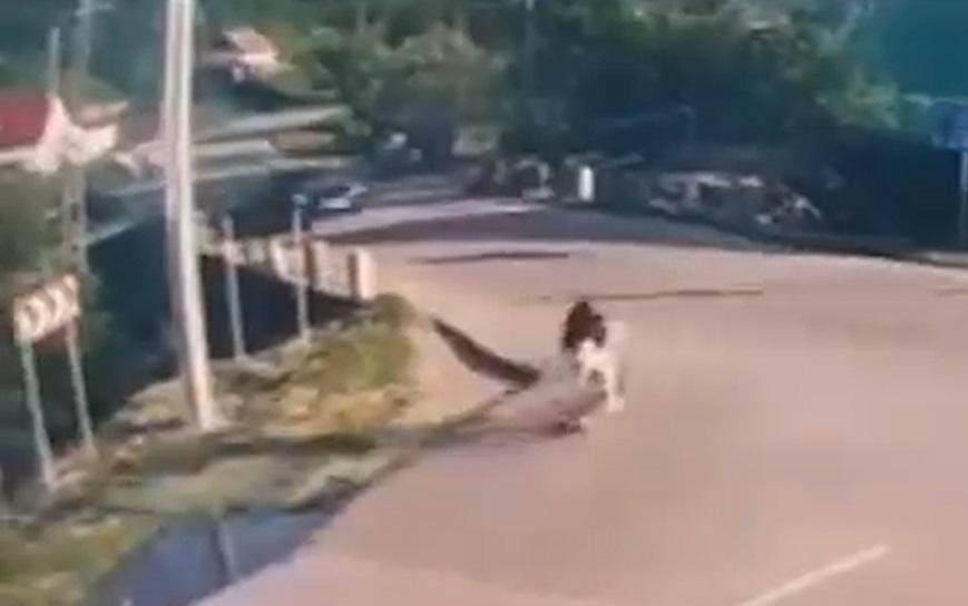 Momentul în care două fete din Sălaj, pe trotinetă, sunt spulberate de o maşină. Şoferul avea prioritate