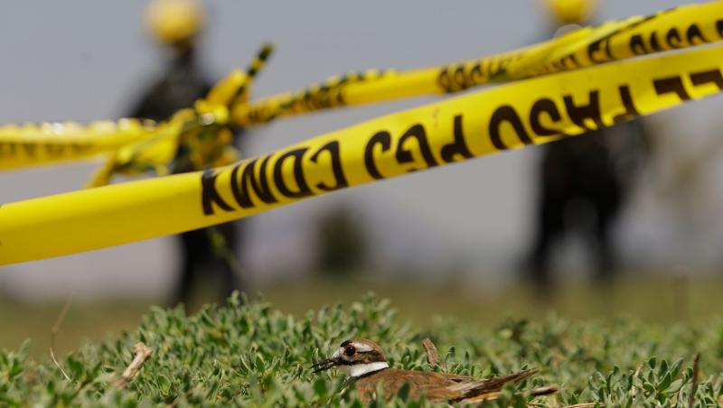 Un tată şi-a împuşcat gemenii de 10 ani, după care s-a sinucis în Los Angeles: "Copiii nu au avut nicio şansă"