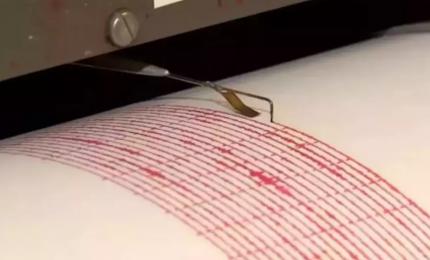 Cutremur de 7,3 în Mexic. A fost emisă alertă de tsunami