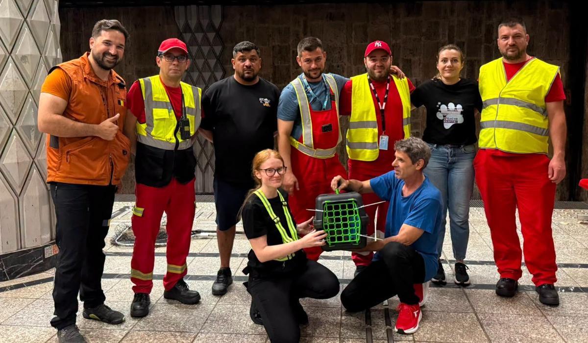 Pisică rătăcită pe șinele metroului, salvată după patru zile de căutări. Animăluţul era speriat şi rănit uşor